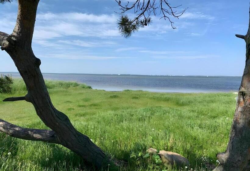 ホテル Rügenschmiede Vis A Vis Hiddensee