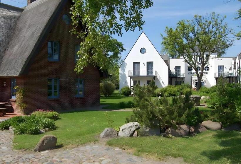 ホテル Rügenschmiede Vis A Vis Hiddensee