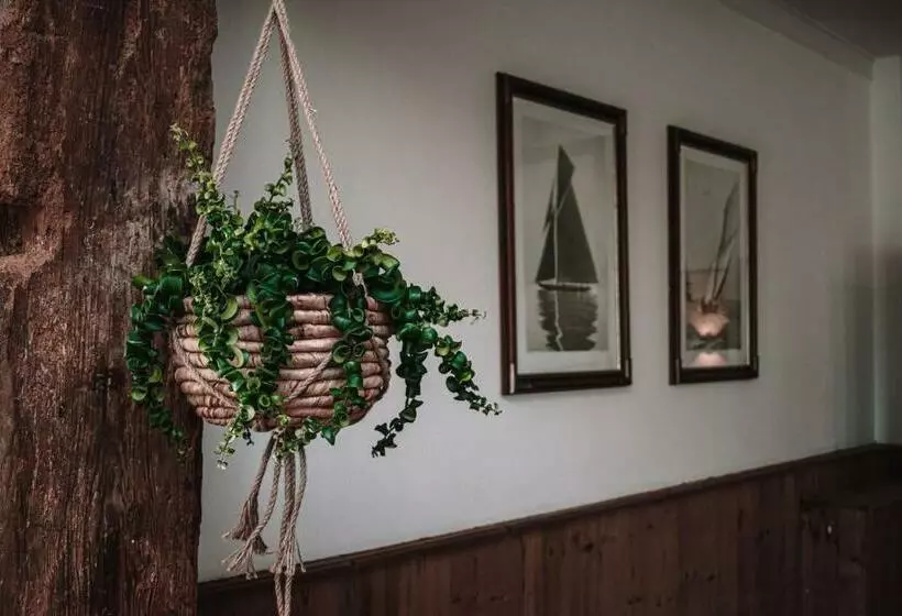 تختخواب و صبحانه Friese Hoeve Sneek