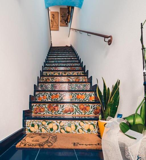 민박 Macchia Mediterranea