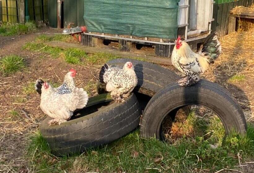 Bed and Breakfast Vakantieverblijf Perron 3