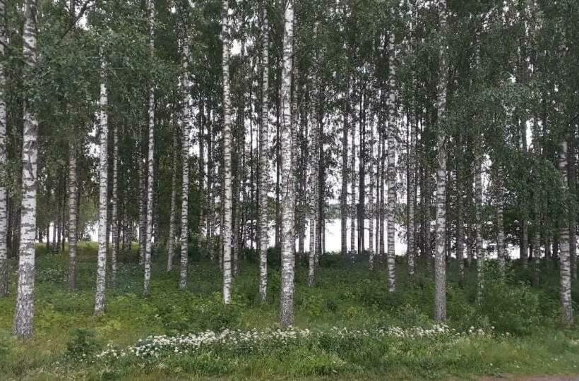 Pension Studio Mummola