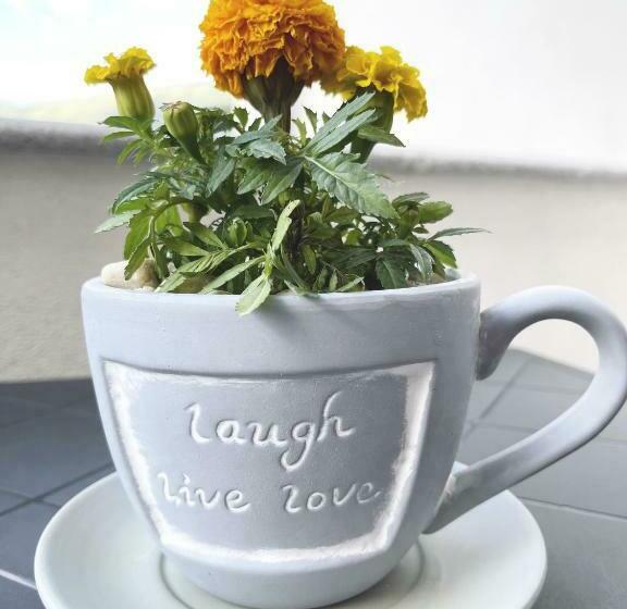 B & B Vilenia San Nicola Arcella