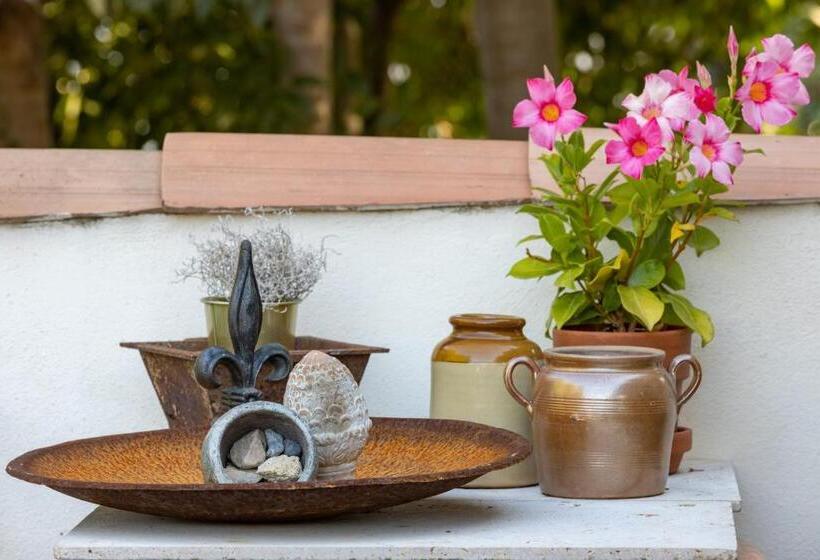 住宿加早餐  Les Chambres Du Lavoir Vert