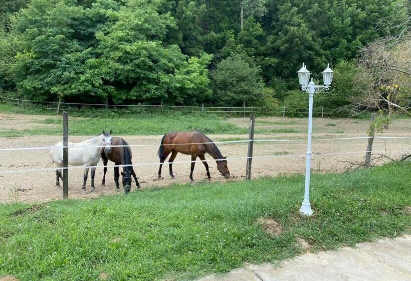 胶囊酒店 Mahom Vendégház
