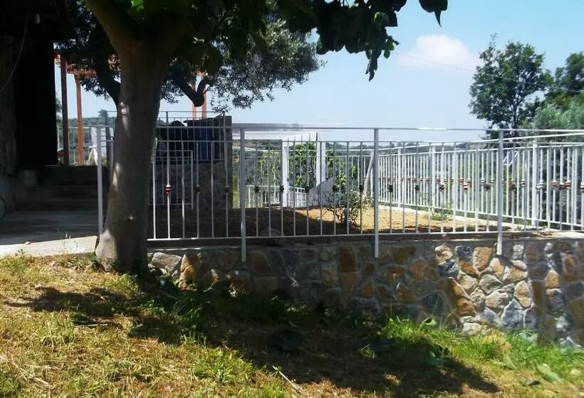 ペンション Villa De Felice