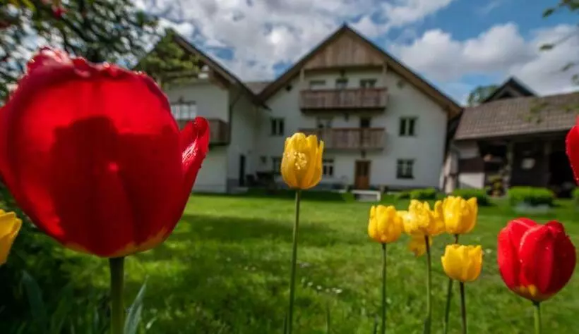پانسیون Apartma In Sobe Pr Objan