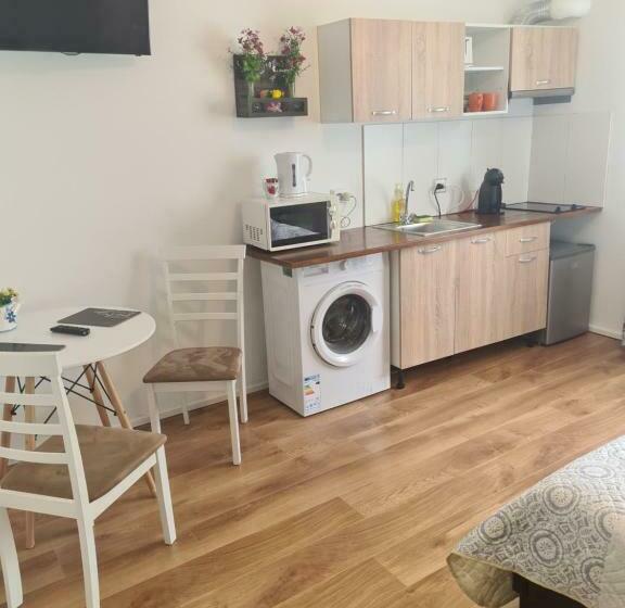 펜션 Luca S Studio 2 ,close To Therme Bucharest, Airport Otopeni