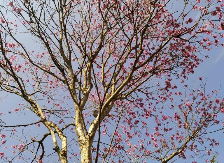 펜션 Pousada Vila Dos Sonhos