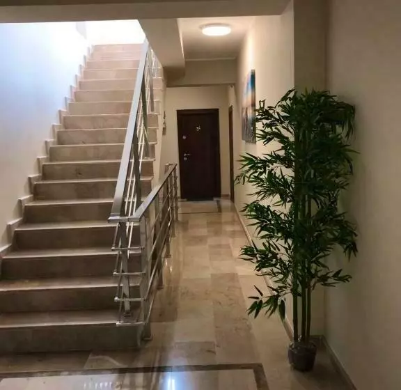 Rohan Studio One