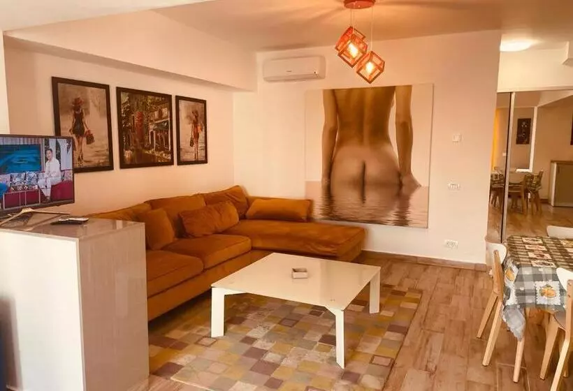 Rohan Studio One