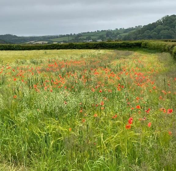 Westerley Country B & B With Exclusive Guest Lounge