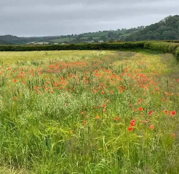 Westerley Country B & B With Exclusive Guest Lounge