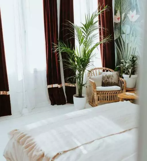 تختخواب و صبحانه Musa Antwerp