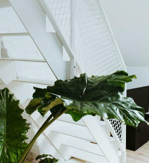 مبيت وإفطار Musa Antwerp