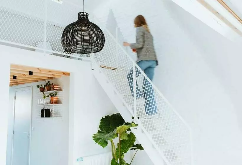 تختخواب و صبحانه Musa Antwerp