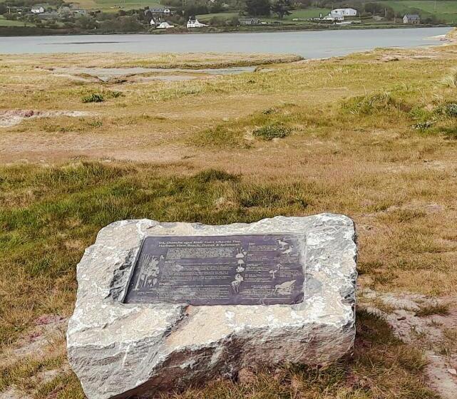 Bridgeview Farmhouse Bed And Breakfast