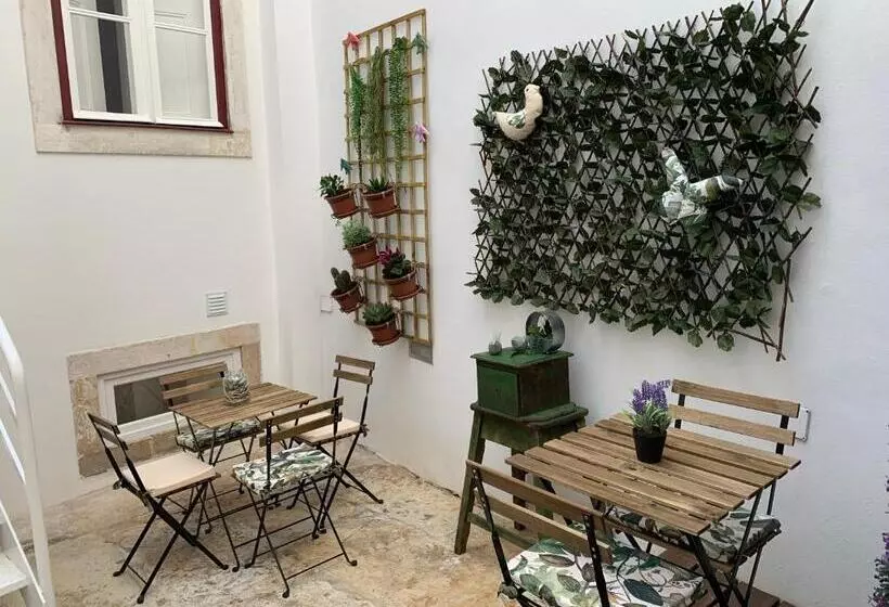 هتل Pharmacia Guesthouse