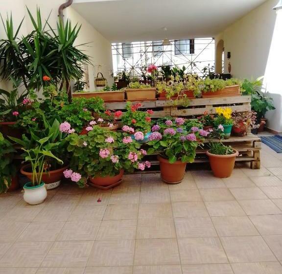 膳宿费 Vivere In Famiglia