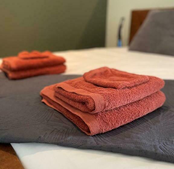 צימר Appartement Hartje Haamstede