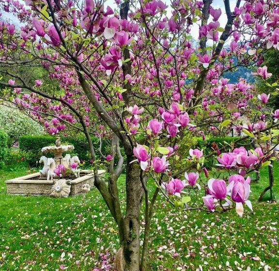تختخواب و صبحانه Château Du Vigny Maison D Hôtes