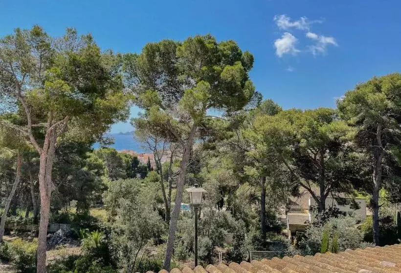 ベッドアンドブレックファースト Villa Dora