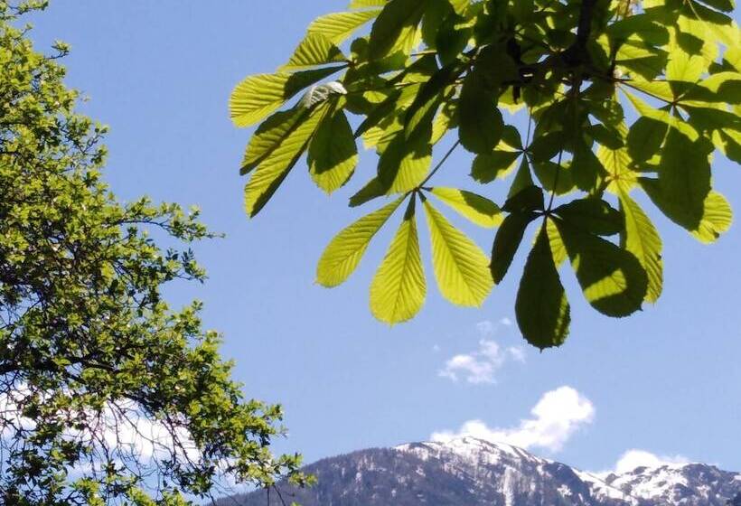 Landhotel Kastanienhof