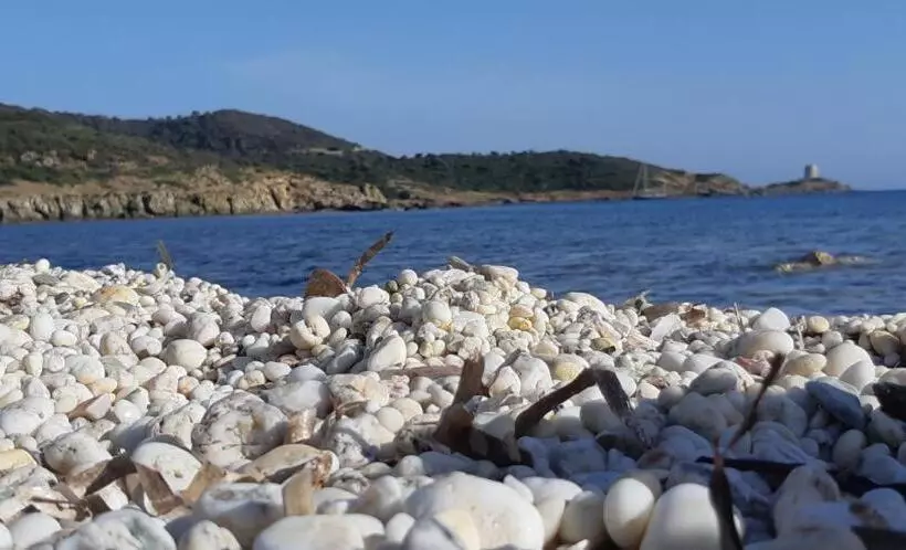 ペンション Beni Benìus