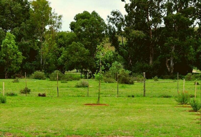 פנסיון Little Farms