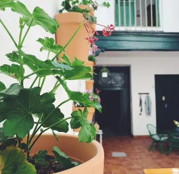 پانسیون Maria Magdalena   Room 8