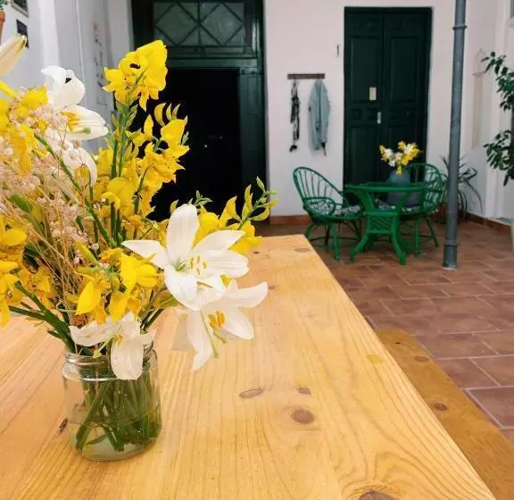 پانسیون Maria Magdalena   Room 8