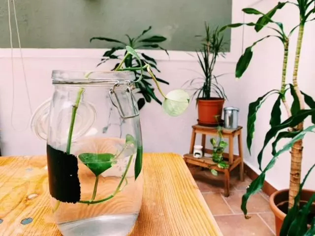 پانسیون Maria Magdalena   Room 8