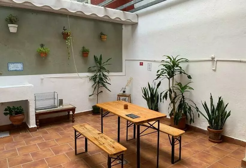 پانسیون Maria Magdalena   Room 8