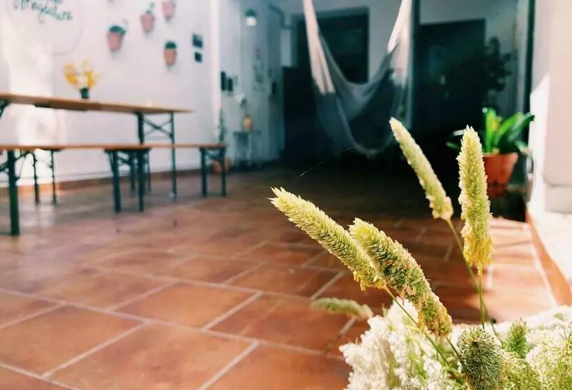 پانسیون Maria Magdalena   Room 8