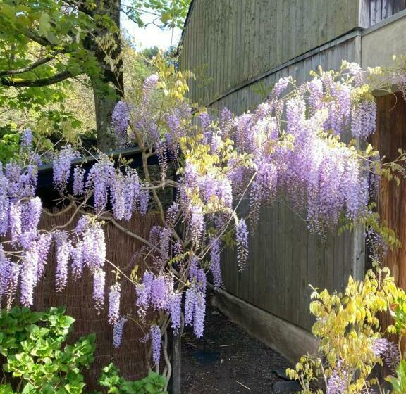 Nocleg ze śniadaniem Chambres D Hôtes Du Moulin à Papier