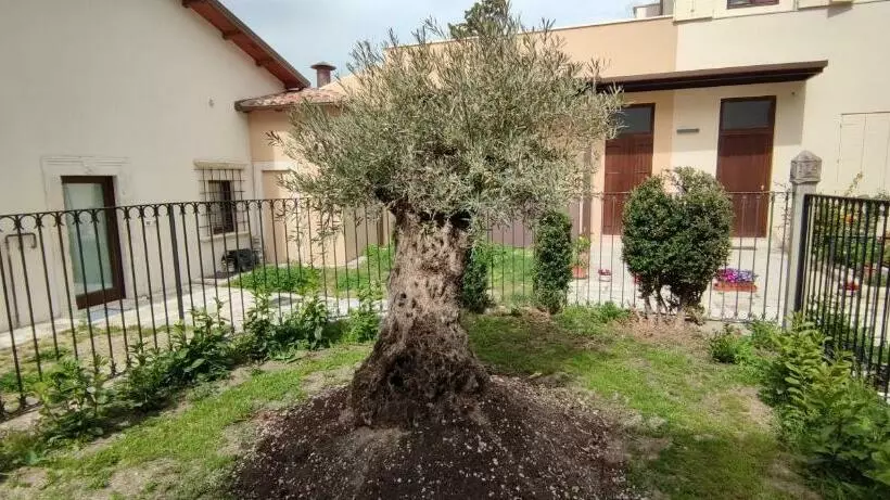 تختخواب و صبحانه San Marciano Luxury Rooms