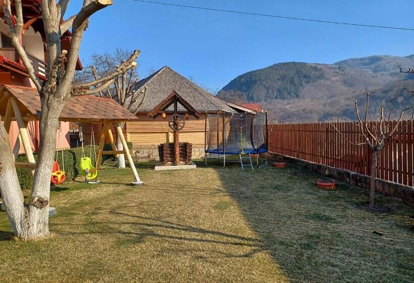 Пансион Casa Dintre Munti Karina