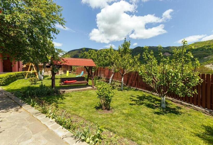 Пансион Casa Dintre Munti Karina