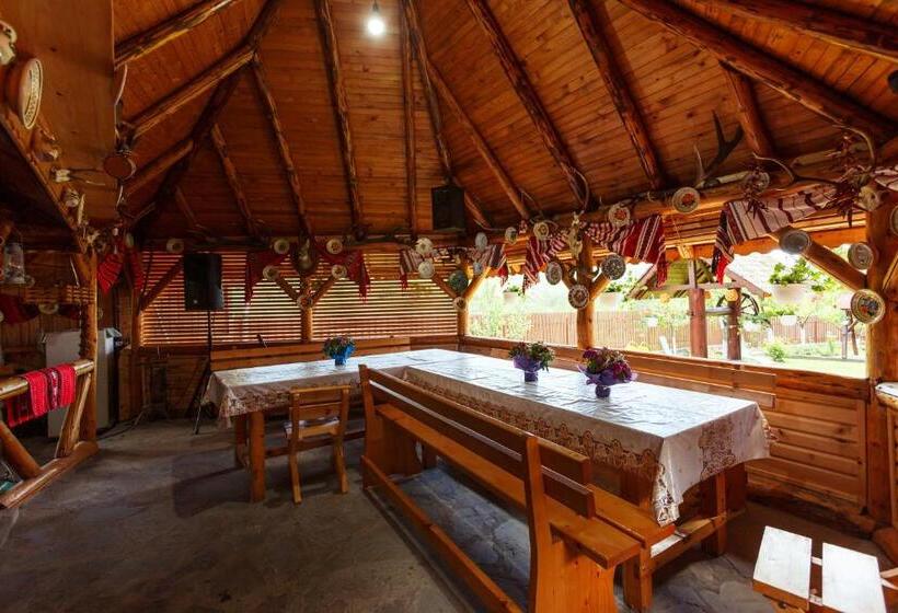 Пансион Casa Dintre Munti Karina