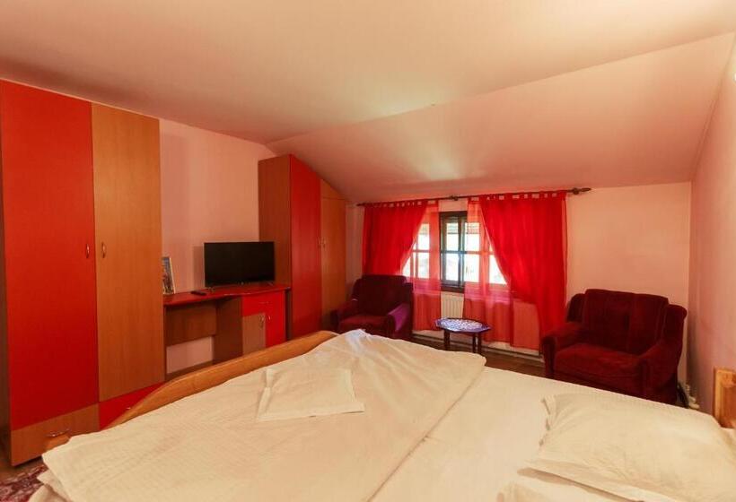 Пансион Casa Dintre Munti Karina