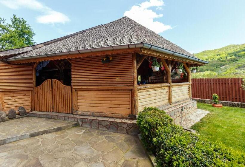 Пансион Casa Dintre Munti Karina