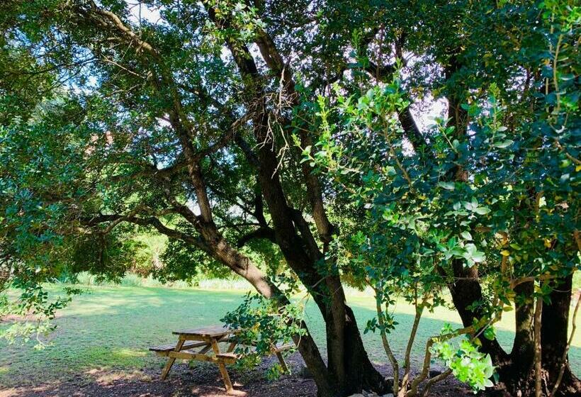 פנסיון Domaine Des Ondes