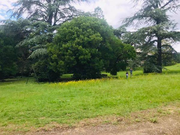 פנסיון Domaine Des Ondes