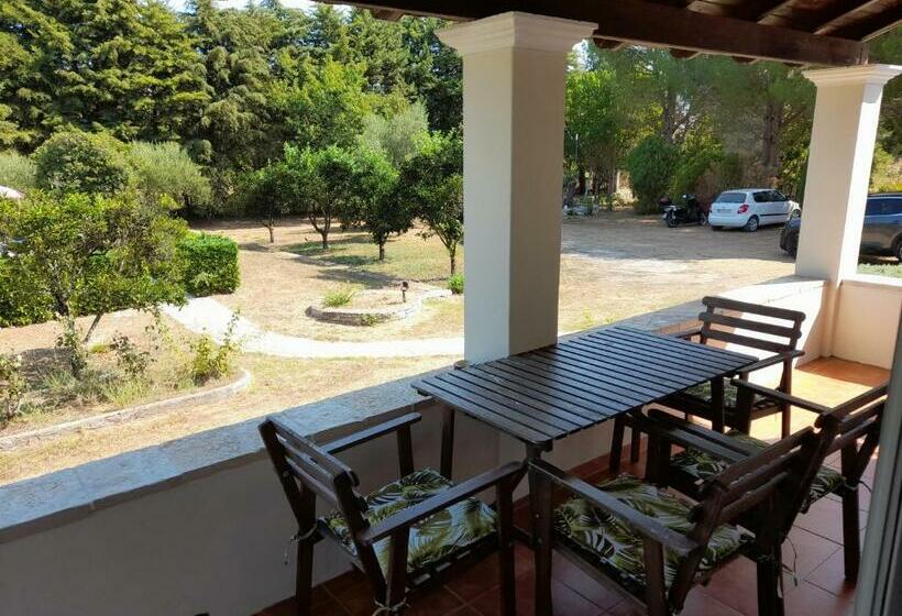 Lemontree Apartments