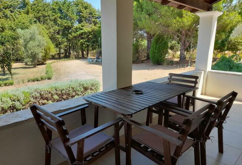 Lemontree Apartments