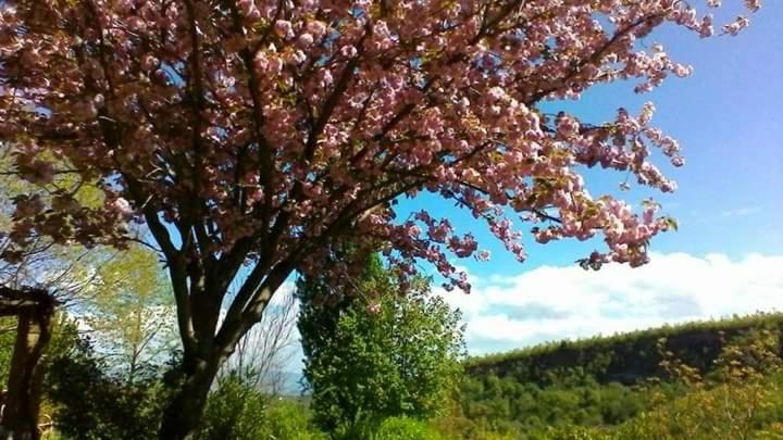 Bed and Breakfast Il Casale Di Aquarubra