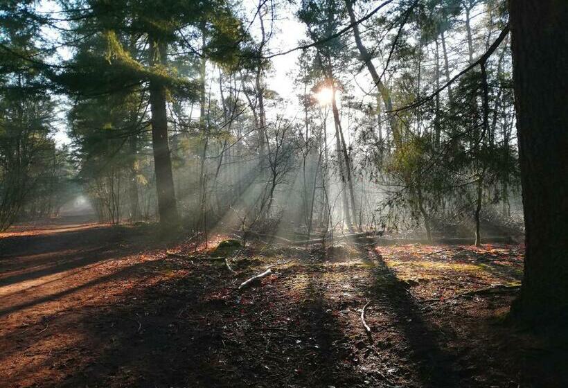 Bed & Breakfast Neeltje Soet
