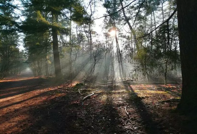 Bed & Breakfast Neeltje Soet