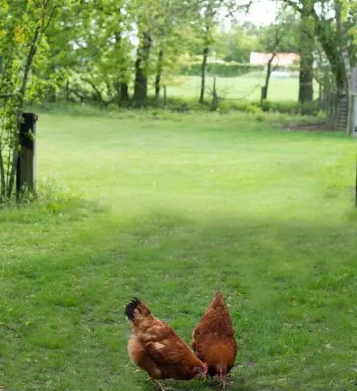 Bed & Breakfast Neeltje Soet