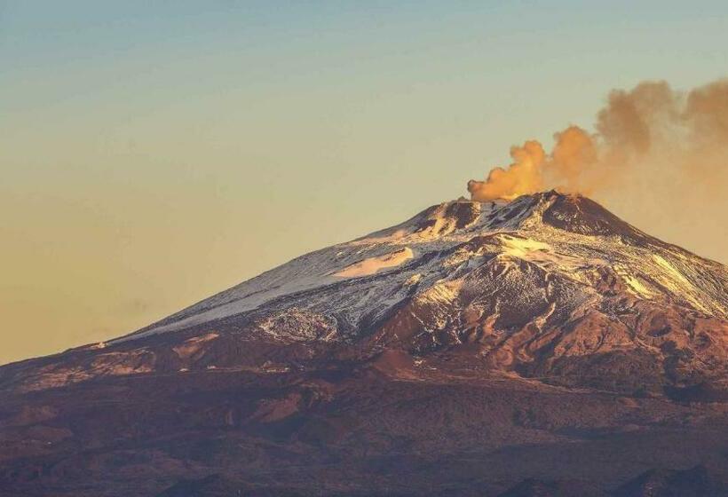 膳宿费 Mamma Loretta House